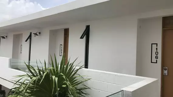 San Ignacio | Quintana Roo - Solidaridad - Playa del Carmen