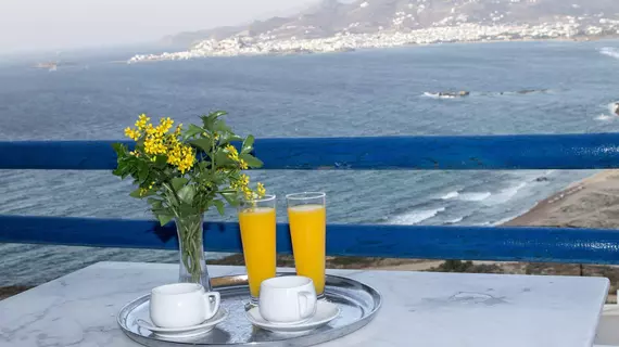 Dream View Hotel | Ege Adaları - Naxos