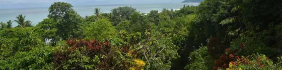 Lookout Inn Lodge | Puntarenas (ili) - Puerto Jimenez