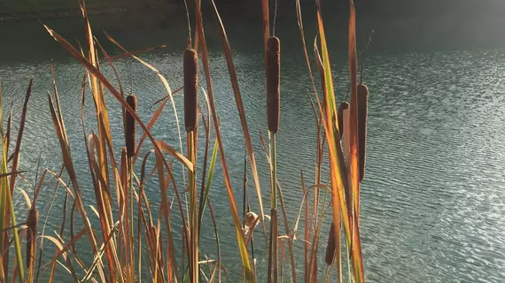 Torraccia di Chiusi | Toskana - Siena (vilayet) - San Gimignano - Val d'Elsa