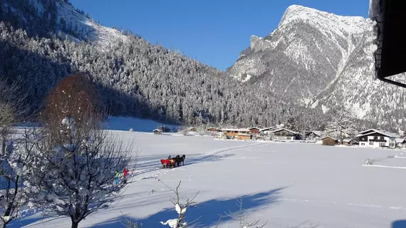 Zenauerhof | Salzburg (eyalet) - Zell am See - Sankt Martin bei Lofer