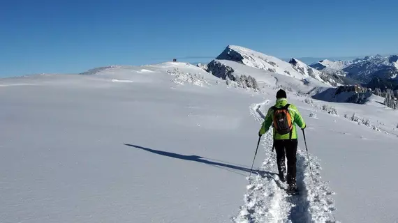 Hirschen Schwarzenberg | Vorarlberg - Schwarzenberg