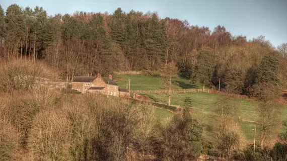 The Laurels B&B | Staffordshire (kontluk) - Stoke-on-Trent - Oakamoor