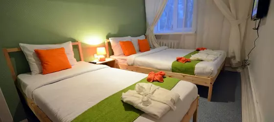 Art Hostel Green Grove | Sverdlovsk Federal Bölgesi - Yekaterinburg (ve civarı) - Yekaterinburg