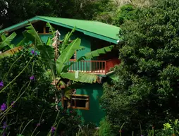 Mariposa Bed and Breakfast | Puntarenas (ili) - Monteverde