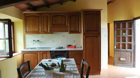 Agriturismo Nerbona | Toskana - Siena (vilayet) - San Gimignano - Val d'Elsa