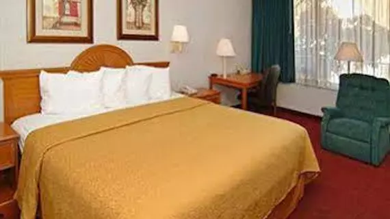 Quality Inn Central Clearwater | Florida - St. Petersburg - Clearwater (ve civarı) - Clearwater