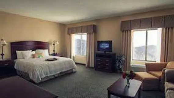 Hampton Inn & Suites Denver Littleton | Kolorado - Denver (ve civarı) - Littleton - Ken Caryl