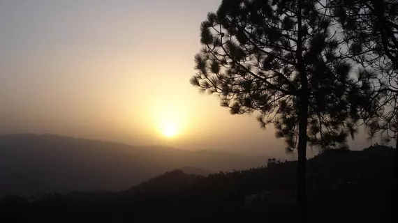 Woodsvilla Residency | Uttarkand - Almora (ve civarı) - Ranikhet