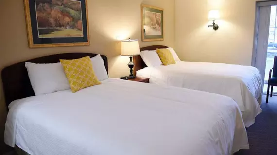 The University Inn Ann Arbor | Michigan - Scio Township - Ann Arbor (ve civarı) - Ann Arbor