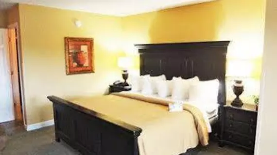 Quality Inn Interstate | Tennessee - Gatlinburg - Pigeon Forge (ve civarı) - Kodak