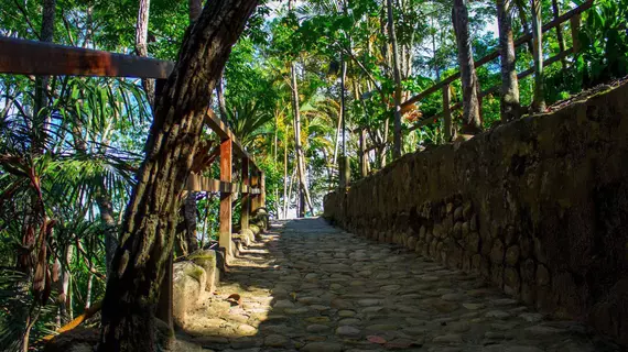 Yacumaman Sanctuary | San Martin (bölge) - Tarapoto (ve civarı) - Tarapoto