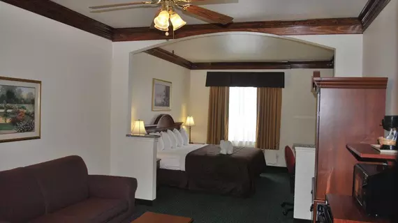 BEST WESTERN INN | Teksas - Fort Worth (ve civarı) - Fort Worth