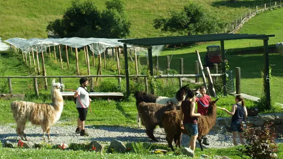 Agriturismo Le Radici | Lombardy - Como (il) - Blessagno