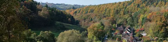 The Laurels B&B | Staffordshire (kontluk) - Stoke-on-Trent - Oakamoor