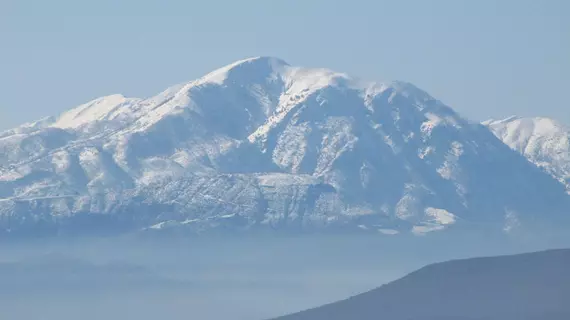 Tholos Hotel | Orta Yunanistan - Fokida (bölge) - Delphi