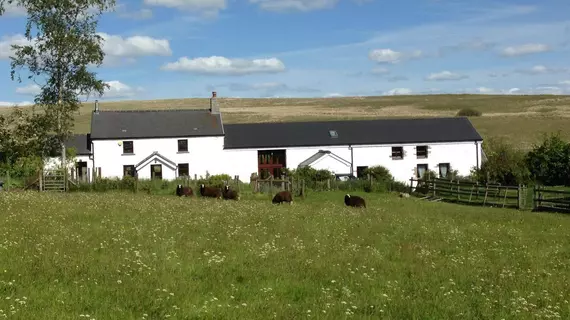 Beili Helyg Guest House | Galler - Powys - Aberdare