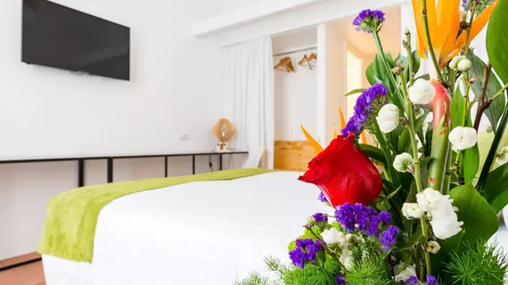 Cancelleria Comfort Inn | Lazio - Roma (ve civarı) - Roma Kent Merkezi - Navona