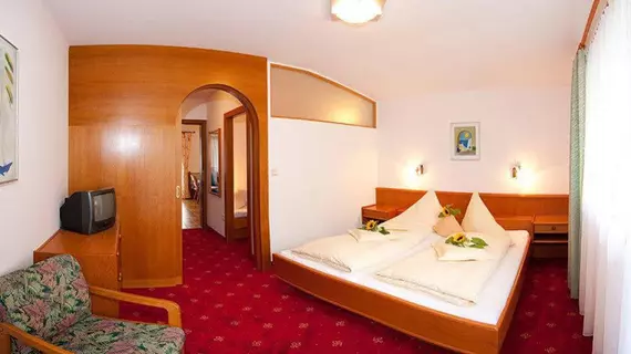 Hotel Birkenhof | Salzburg (eyalet) - Zell am See - Rauris