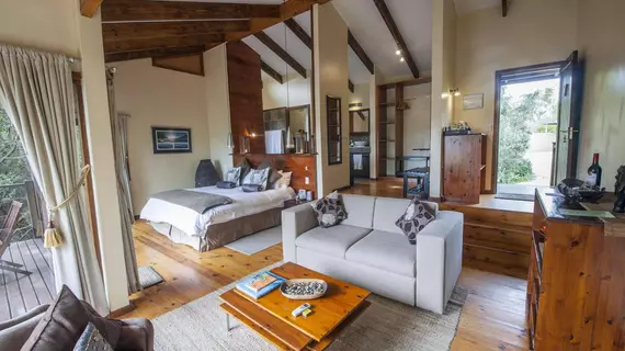 Elephant Hide of Knysna Guest Lodge | Western Cape (il) - Knysna