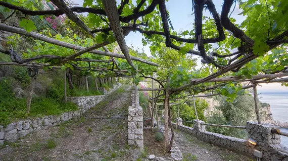 Cannaverde Amalfi Coast Camp | Campania - Salerno (il) - Maiori