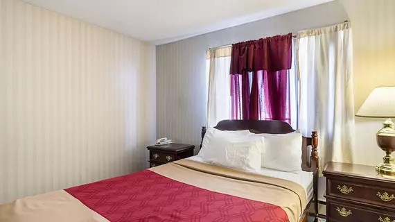 Econo Lodge Jackson | Minnesota - Worthington (ve civarı) - Jackson