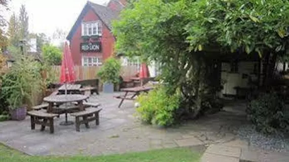 The Red Lion | Surrey (kontluk) - Betchworth