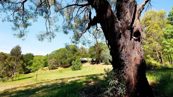 The Lodge | Victoria - Daylesford (ve civarı) - Hepburn