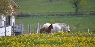 Les Hauts de Toulvern