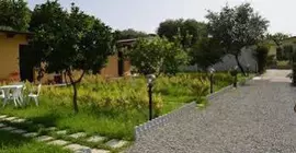 B&B La Torretta | Calabria - Vibo Valentia (vilayet) - Drapia - Gasponi