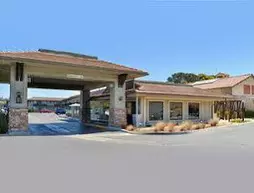 Holiday Inn Express Mill Valley - Sausalito Area | Kaliforniya - Marin County - Mill Valley