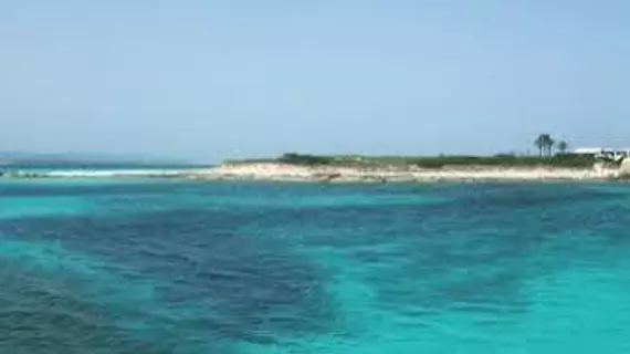 Bosque de Pere | Balearic Adaları - İbiza Adası - Sant Antoni de Portmany