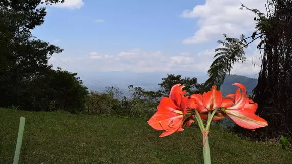 Mirador Valle del General | San Jose (ili) - Dominical (ve civarı) - Páramo