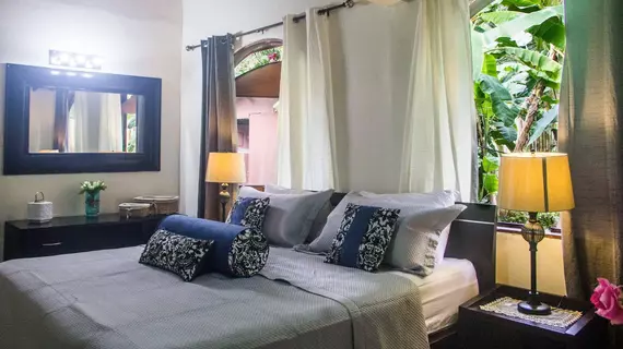 Banana Beach Bungalows | Puntarenas (ili) - Cobano - Santa Teresa