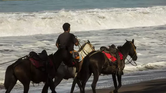 Poor Mans Paradise | Puntarenas (ili) - Drake Bay