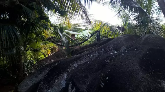 Cocotier du Rocher | Seyşeller - La Digue - La Passe