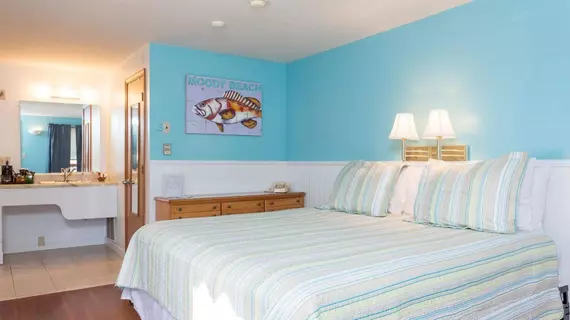 Seacoast Motel | Maine - Ogunquit - Wells (ve civarı) - Wells