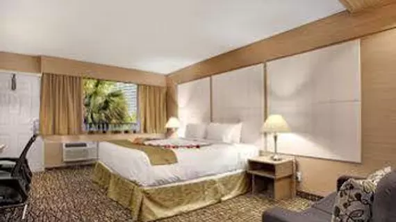 Ocean Beach Palace Hotel and Suites | Florida - Fort Lauderdale (ve civarı) - Fort Lauderale