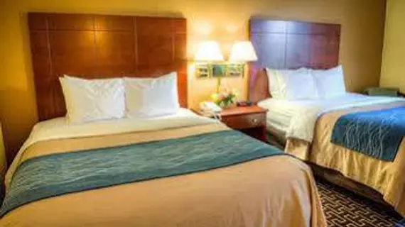 Comfort Inn Milton | Florida - Pensacola (ve civarı) - Milton