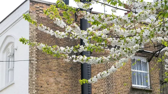 Portobello House | Londra (ve civarı) - Kensington - Notting Hill