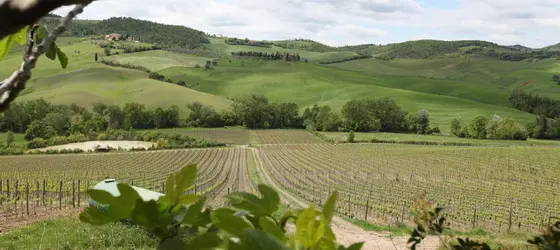 Agriturismo San Gallo | Toskana - Siena (vilayet) - Montepulciano