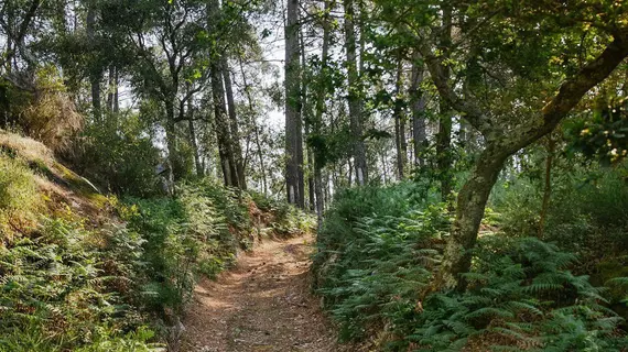 Quinta Da Bouca D'Arques | Norte - Viana do Castelo Bölgesi - Viana do Castelo