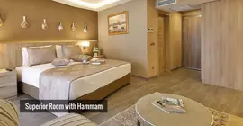 Ayramin Hotel |  Istanbul  - Beyoğlu - Sütlüce Mahallesi