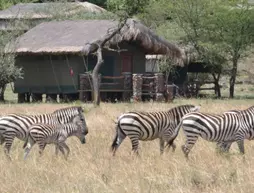 Grumeti Migration Camp | Serengeti Ulusal Parkı