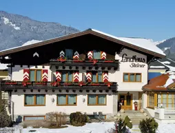 Landhaus Steiner | Salzburg (eyalet) - Sankt Johann im Pongau - Altenmarkt im Pongau