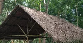 Tent and Breakfast at Irawan Ecopark | Mimaropa - Palawan - Puerto Princesa