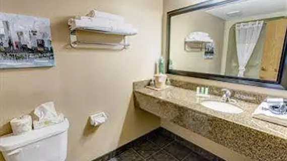 Quality Inn West Edmonton | Alberta - Edmonton (ve civarı) - Edmonton - West Edmonton