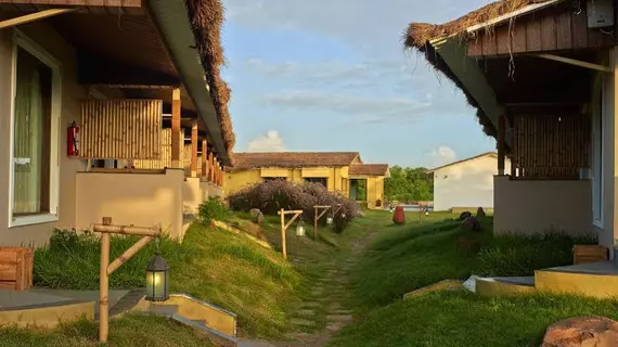 Asiatic Lion Lodge | Gujarat - Talala