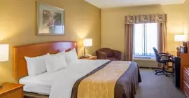 Quality Inn and Suites | Oklahoma - Pryor (ve civarı) - Pryor - Lusta