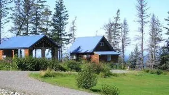 C View Cabins | Alaska - Anchor Point